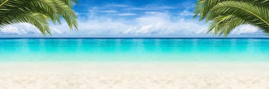 ng体育 - 天博体育优惠活动